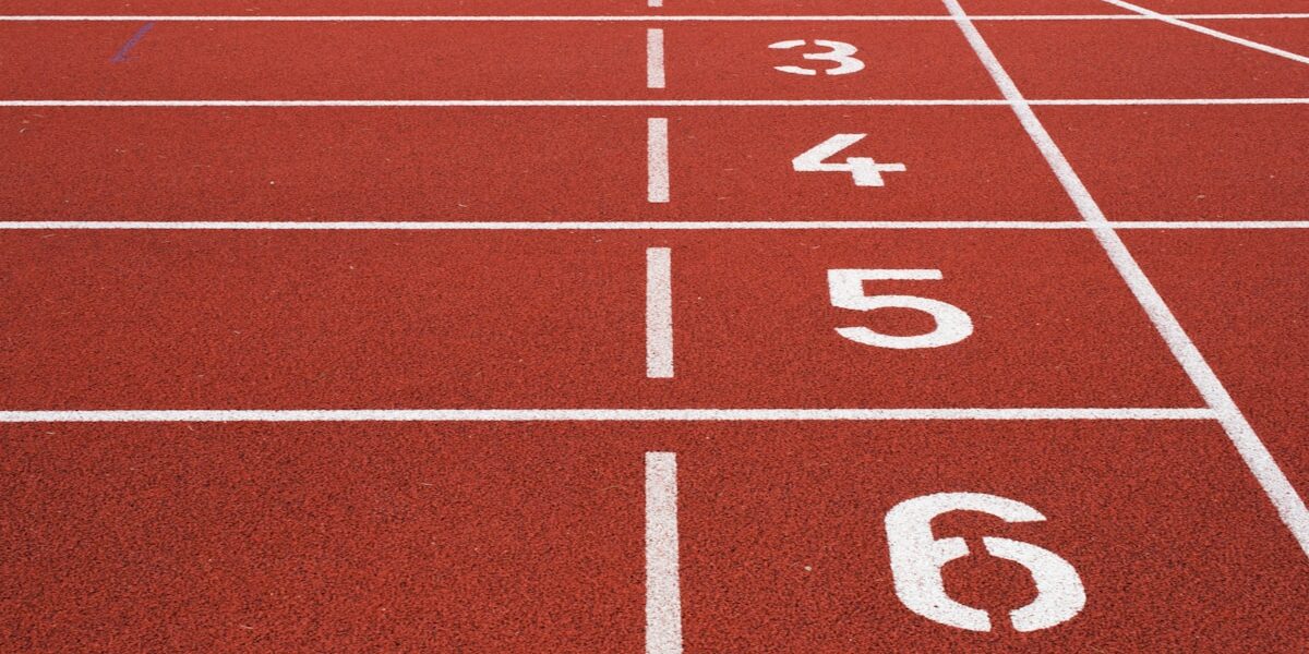 Ironman and Olympic Triathlon Distance Standards